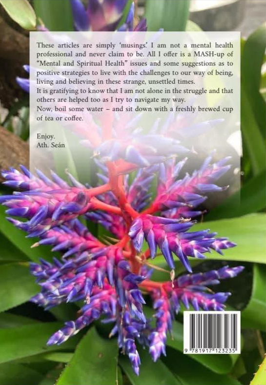 All Will Be Well: Musings of Fr. Seán