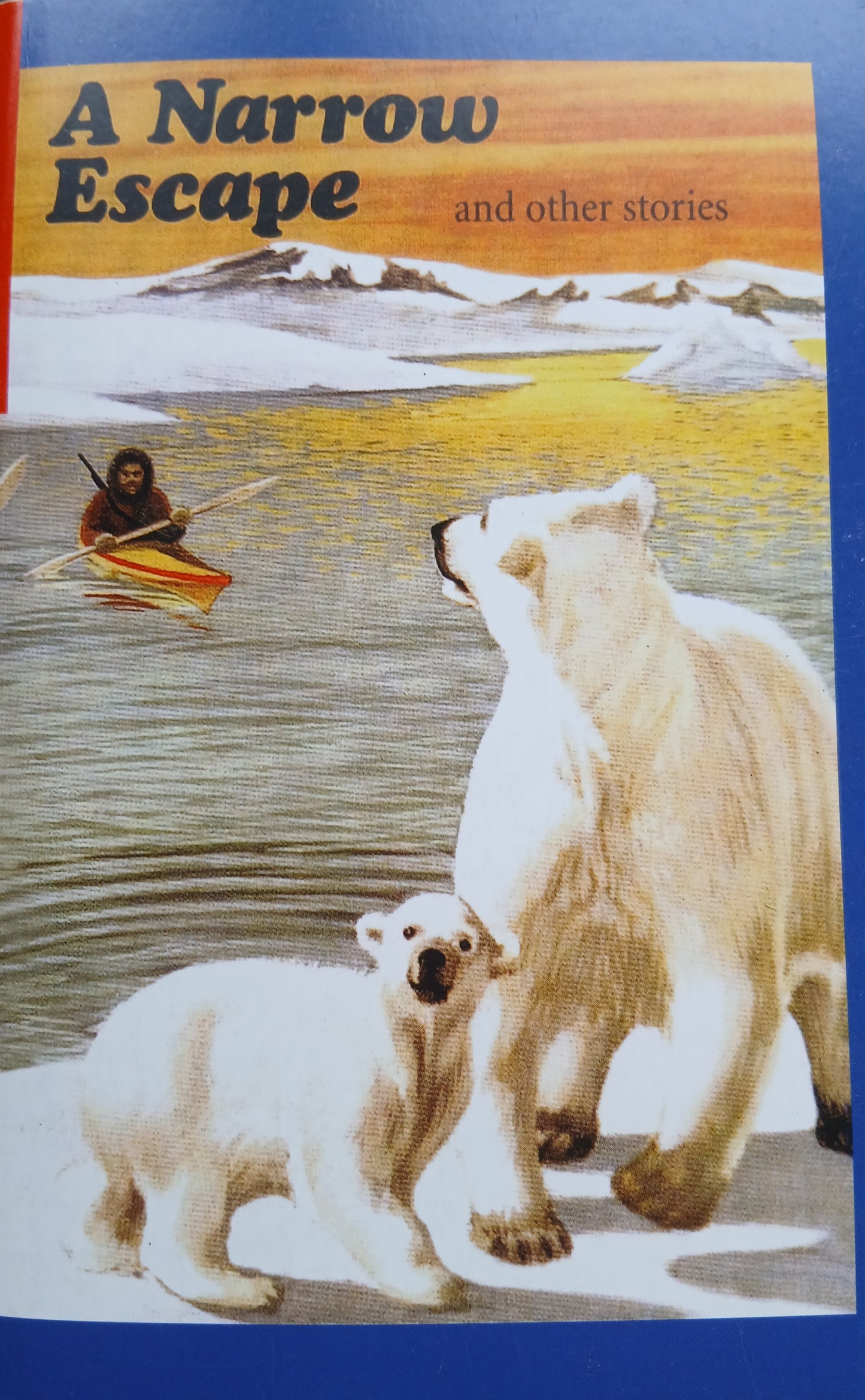 A Narrow Escape English Reader D